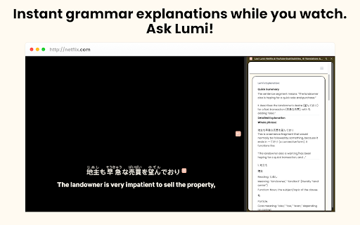 Lexi Lumi: Netflix & YouTube Dual Subtitles, AI Translations & Flashcards :: Enhance Netflix & YouTube with dual subtitles, AI interactive translations & transliteration, and flashcards