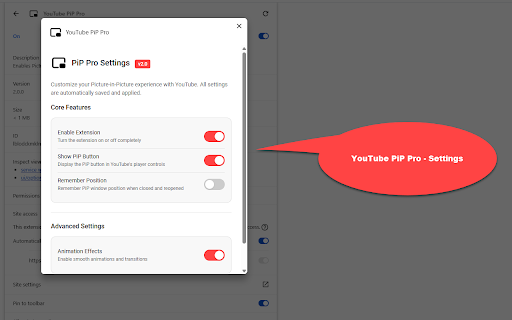 YouTube PiP Pro :: Enables Picture-in-Picture mode for YouTube videos with native integration