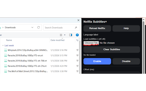 Netflix Subtitles :: Overlay external subtitles on Netflix with auto-sync, SPA navigation support, and friendly UX.