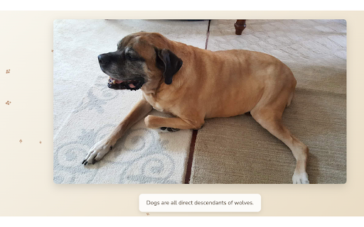 New Dog Tab :: Displays a random dog image and fact on each new tab!