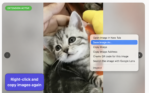 Right Click and Copy :: Enable right click, text selection, copying and dragging on blocked websites, with per-site controls and Strong Mode.