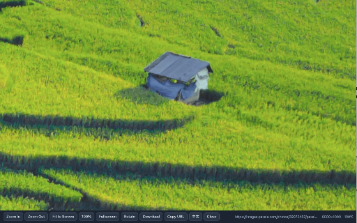 Open Image Viewer :: Right-click any image to open a zoomable, pannable viewer with fullscreen, rotate, download, and copy-URL.