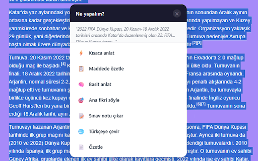 Seç ve Anla :: Herhangi bir metni seçin, anında özetleyin veya analiz edin.
