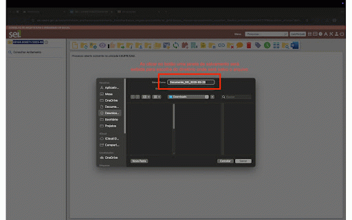 SEI para Word :: Extensão para converter documentos internos do SEI em formato Word.