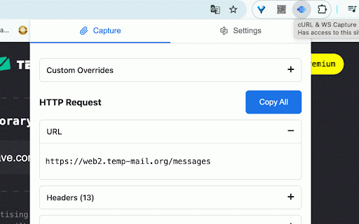 cURL & WS Capture :: cURL & WS Capture help Capture network requests and WebSocket connections.