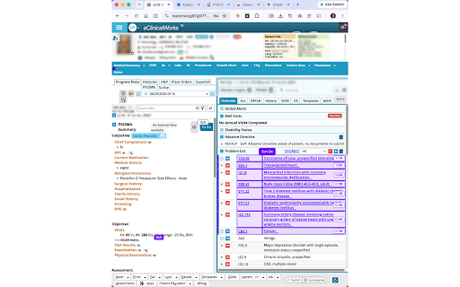 PurpleTools RAF :: Indentify, Highlight and Sort RAF-relevant ICD-10 Diagnoses in eClinalWorks.