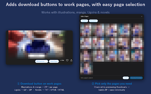 Irodori Downloader for pixiv :: Unofficial tool to download illustrations, manga, Ugoira, and novels from pixiv