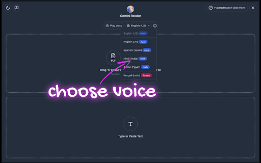 Gemini Reader: Free AI Text to Speech with Google Voices, TTS :: Natural Gemini AI text to speech (TTS) for PDFs, articles, & docs. Download or read aloud using high-quality AI voices
