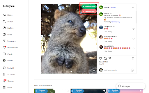 Insget.Net | Instagram Downloader :: Quickly download Photos, Videos, Reels, Stories and Profile from Instagram.