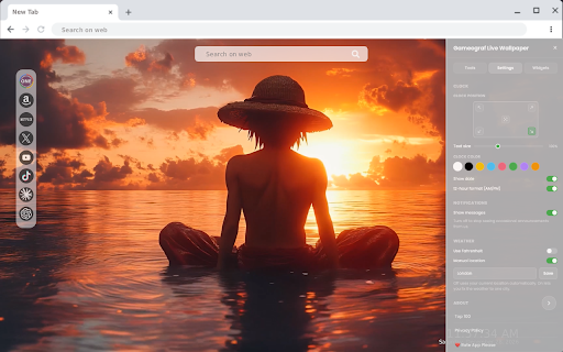 Luffy Meditation Live Wallpaper :: Experience the serene Luffy Meditation Live Wallpaper with stunning HD animation as you open each new tab.