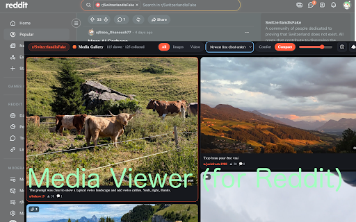 Reddit Media Viewer - Gallery Rexplorer :: Overlay a fast, responsive media gallery on the current Reddit subreddit or user feed. Local-only, no login, no tracking.