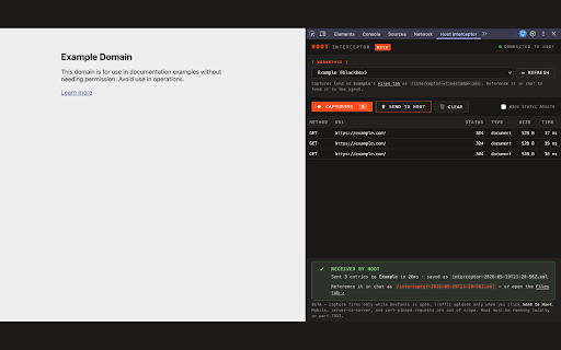Vector Interceptor :: Capture browser traffic and send it to your Dravian target for AI-assisted security analysis.
