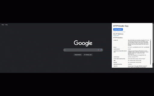 HTTP Header Spy :: Shows HTTP headers and site IP for current page