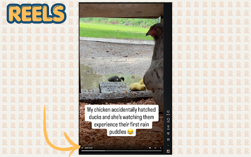 Real Video Controls for Instagram Reels, Stories & Feed – Reels Scrubber :: Real video controls on Instagram. Seek, volume & speed on reels, stories, feed & posts. Mute preference sticks while scrolling.