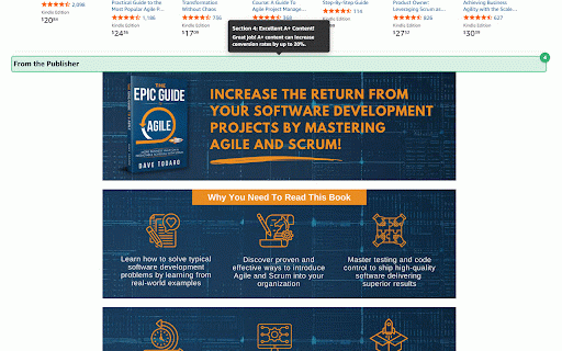 Scribando Book Marketing For Amazon KDP Books :: Analyzes Amazon KDP book performance with metrics like BSR, reviews, and content quality, displaying insights in an overlay.