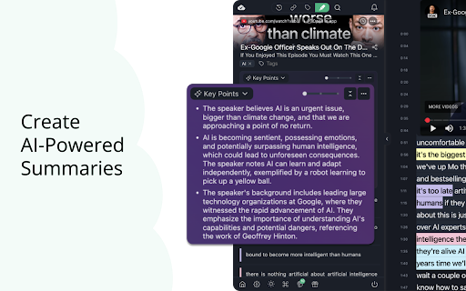 Youtube Highlighter & AI Summary - Web Highlights :: Highlight & annotate YouTube transcripts. Create AI summaries and transform videos into organized, searchable notes & annotations.