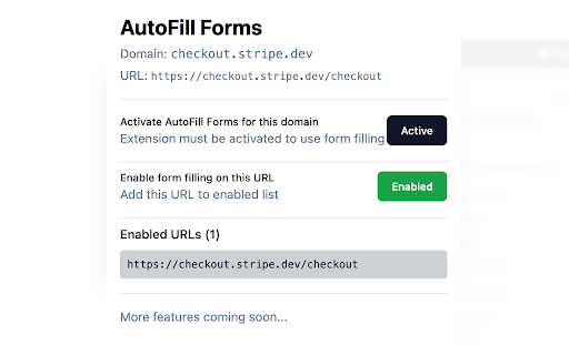 AutoFill Forms :: Auto-fill forms with saved profiles, including Stripe and Paddle payment forms