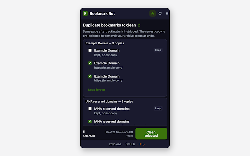 Bookmark Rot - Broken Bookmarks Checker :: Find duplicate bookmarks, empty folders, and dead links. Clean safely with full undo. Link checks run only when you allow them.