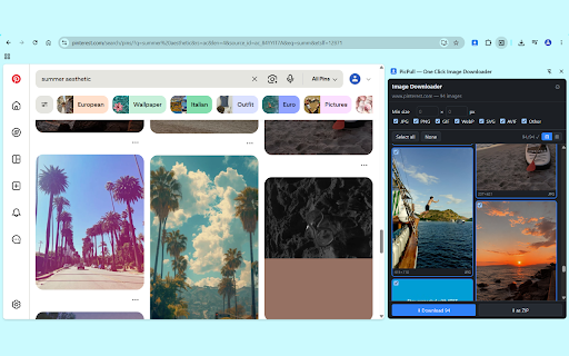 PicPull — One Click Image Downloader :: Hover to download any image; bulk-download via side panel with size/format filters.