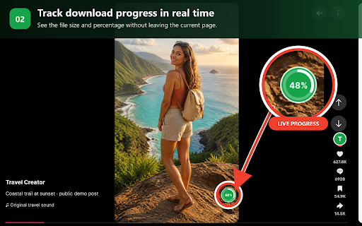 CopyTT – Video & Photo Downloader :: Download videos and photos you choose from supported pages with a button beside the media.