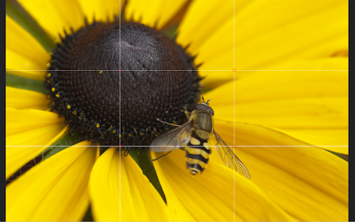 Rule of Thirds :: A customisable overlay for visualising image composition techniques (primarily the Rule of Thirds).