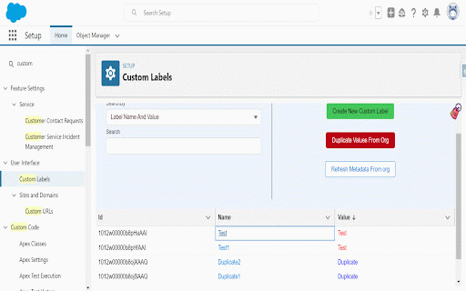 Salesforce Custom Label Manager :: View Duplicate Custom Labels and Create