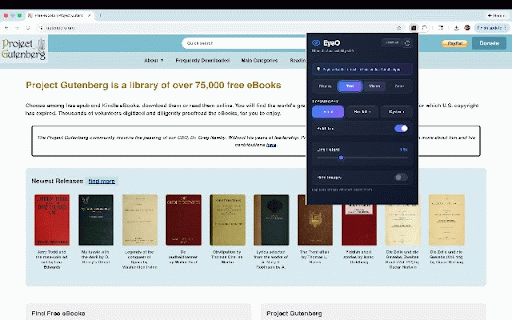 EyeO - The Ultimate Accessibility Plugin :: Advanced accessibility tools for enhanced web browsing experience