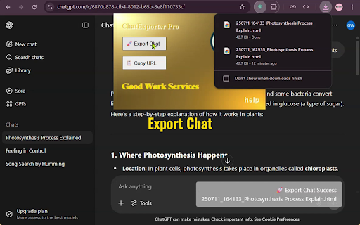 ChatExporter Pro :: Export AI chats as HTML from ChatGPT, Gemini, DeepSeek. Includes UI tools and keyboard shortcuts.
