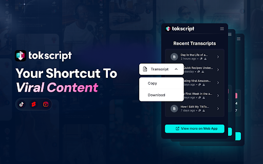 Tokscript :: Transform TikTok videos into text instantly. Copy, download, and save video captions with one click.