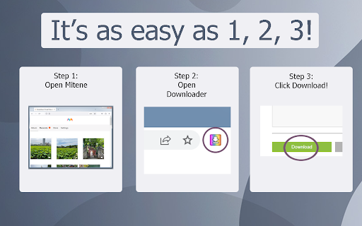 Mitene Album Downloader :: Downloads all the images and videos from a Mitene album.