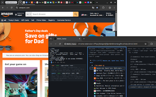 BMXt_Demo:Browser Manipulator X Terminal :: Dedicated-window command shell for tabs, windows, and groups.