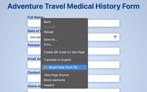 Smart Fake Form Fill :: Populate forms with relevant, AI-generated data for testing purposes