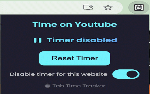 Tab Time Tracker :: Tracks time spent on the current website