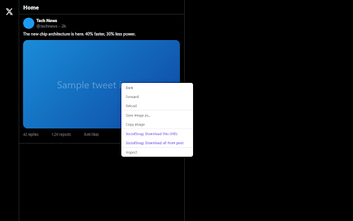 SocialSnag :: Download full-resolution social media from direct post links or the right-click menu.