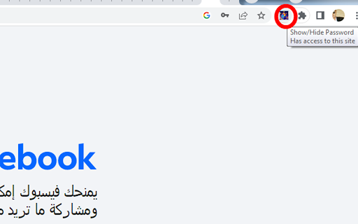 Show/Hide Password :: View hidden passwords in a secure and advanced way - عرض كلمات المرور المخفية بشكل متطور وآمن