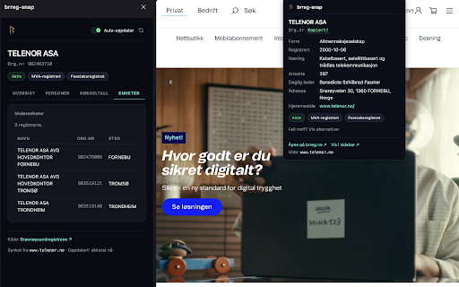 brreg-snap :: Slå opp norske bedrifter i Brønnøysundregistrene med ett klikk.