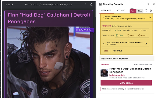 Pincat by Cressida :: Save supported character pages locally, export SillyTavern-compatible cards, and optionally sync selected captures to Datacat.