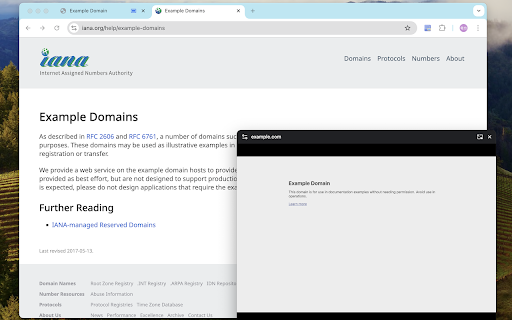 PiP Any Tab/Window :: Display any browser tab, window, or screen in a Picture-in-Picture window. Supports zoom, pan, and keeps content always on top.