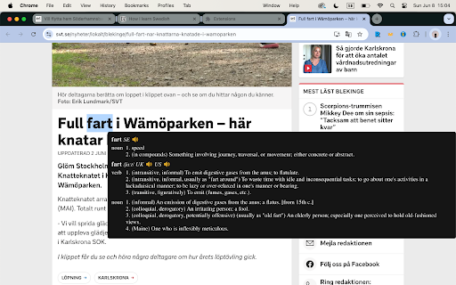 Ordböcker: Learn Swedish, Norwegian & Danish :: A customizable dictionary extension that supports double-click lookups, multiple dictionaries, and anki integration.