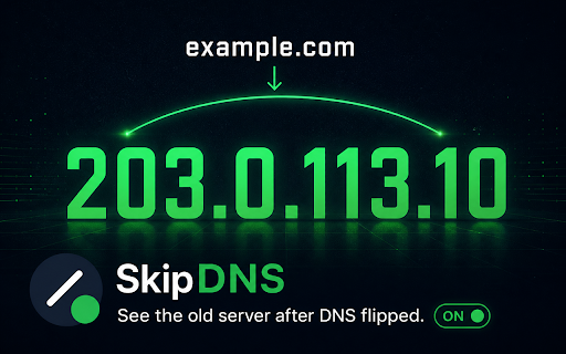 SkipDNS :: Resolve a domain to a different IP for testing (e.g. check a website on its old host). Session-only overrides.