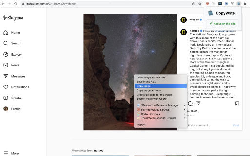 CopyWrite :: Copy text and images with freedom, allowing users to overcome restrictions originally enforced by a site