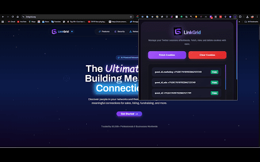 LinkGrid :: This extension will allow you to easily retrieve your session cookies each time you use LinkGrid.