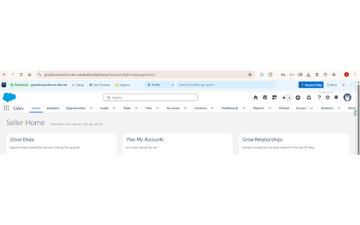 Salesforce Nexus :: Salesforce Nexus: check user access, search Setup, and navigate your org faster — admin & developer productivity in one toolbar.