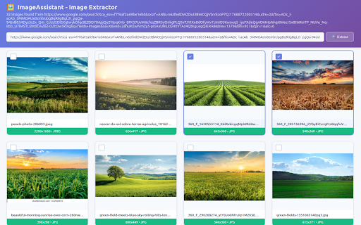 Image Downloader Assistant - Batch Save Images :: Download all images from any website instantly. Batch image downloader with filters, preview & smart detection.