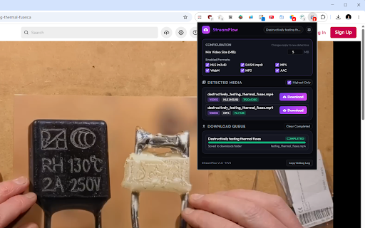 StreamFlow: Video & Stream Downloader :: Detects and downloads videos and audio streams (including HLS/M3U8) directly to your download directory.