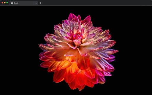 AMOLED Wallpapers HD - Dark Black Backgrounds New Tab :: Premium AMOLED wallpapers with pure black backgrounds.
