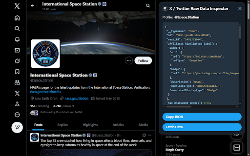 X / Twitter Raw Data Inspector :: Displays raw user data on X / Twitter profile pages