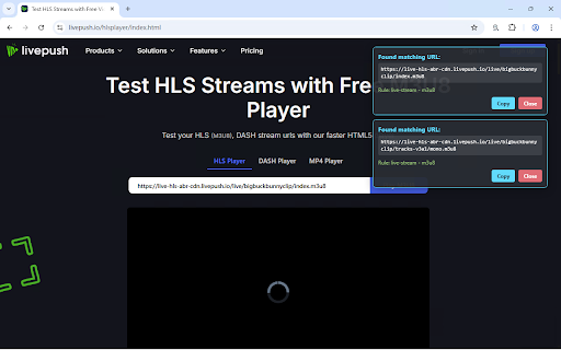 Network Request Monitor :: Monitor and capture network requests matching specified URL patterns