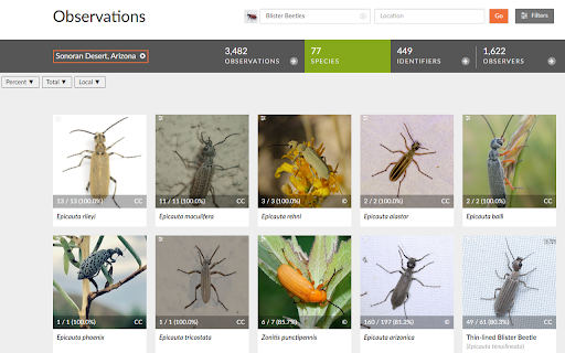 iNatty Localness Checker :: Adds local/global observation stats to iNaturalist species tiles to help highlight local standouts. Shows the Place Total / Global…