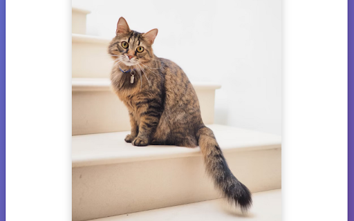 Image Zoom :: Zoom and pan images with mouse-centered controls. Hold Ctrl + scroll to zoom, click and drag to pan, double-click to reset.